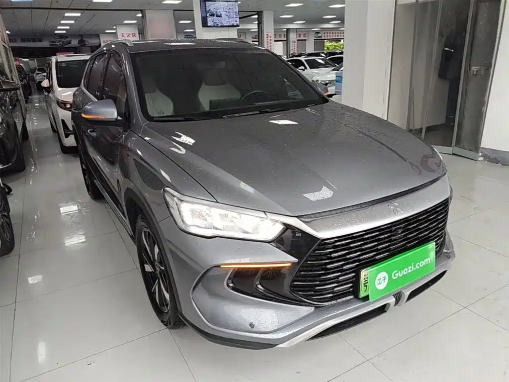 BYD Song Pro New Energy 2024 Glory Edition DM-i 71KM Pilot фото 4
