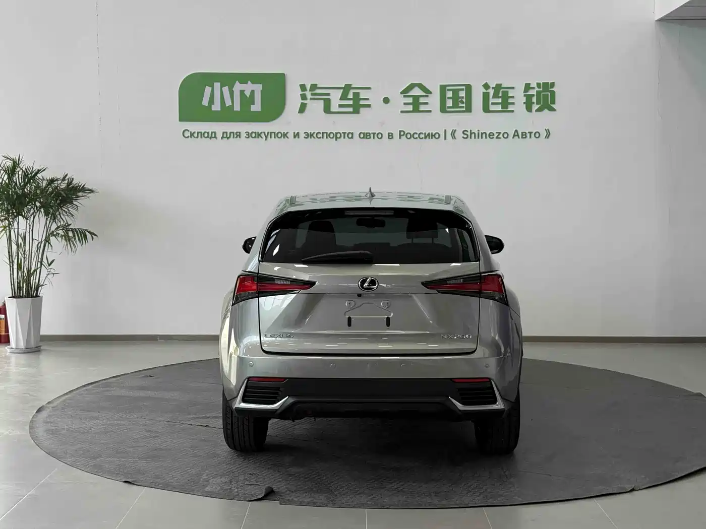 LEXUS NX