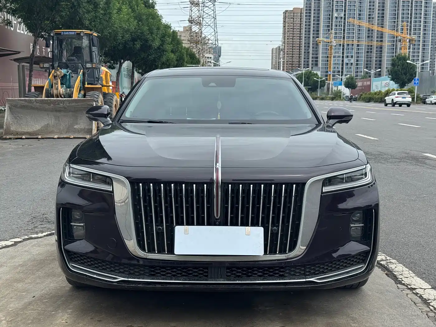 Hongqi H9 2022 2.0T Smart Connect Flag Smooth Edition фото 2