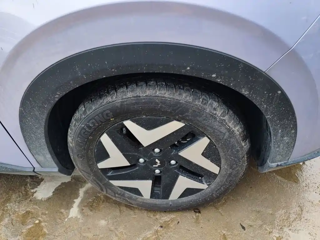 Wuling Motors Wuling Bingo S 2025 2025 Model 325km Flagship Edition