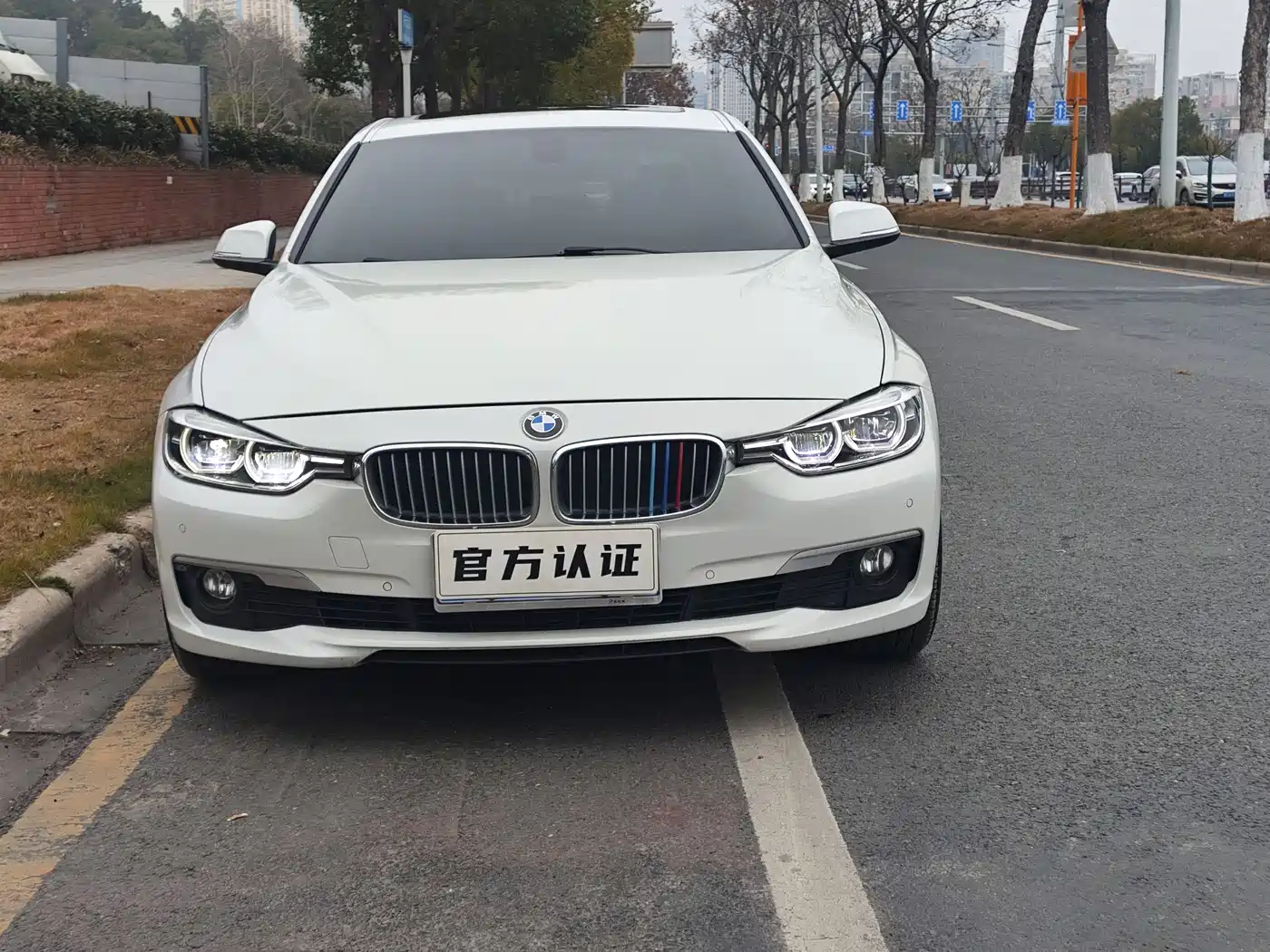 BMW 3 Series 2018 320Li Fashion Style фото 2