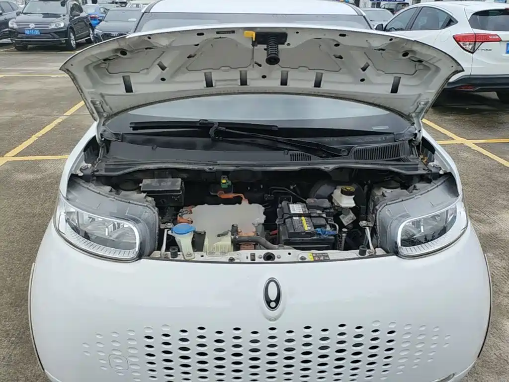 Ora White Cat 2021 2020 305km Luxury