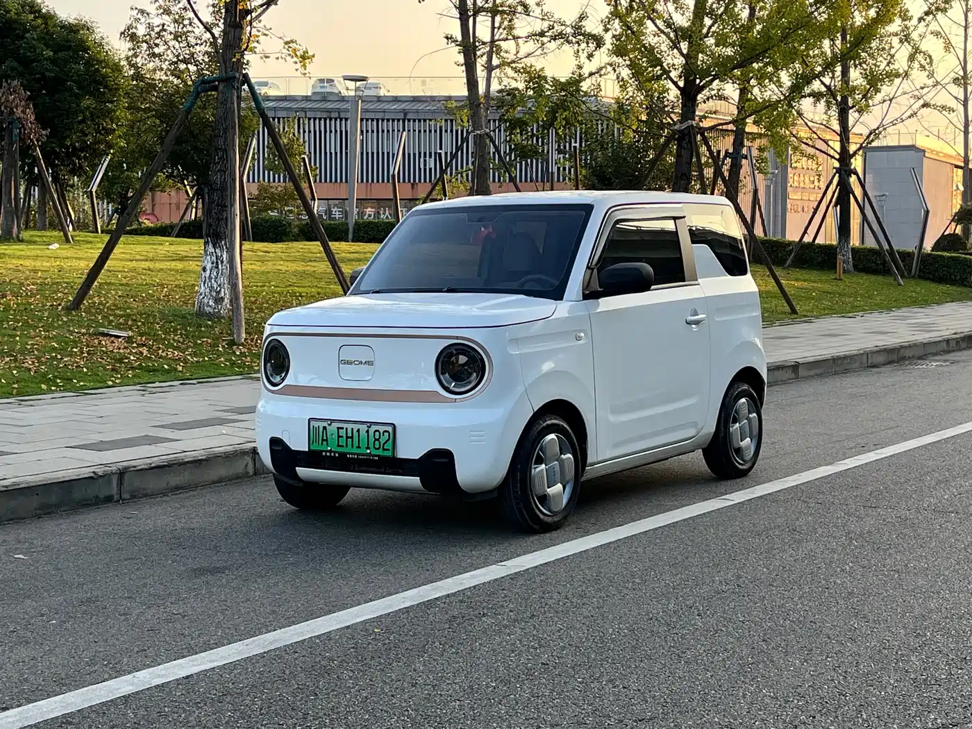 Geely Galaxy Panda 2024 — пригон из Китая