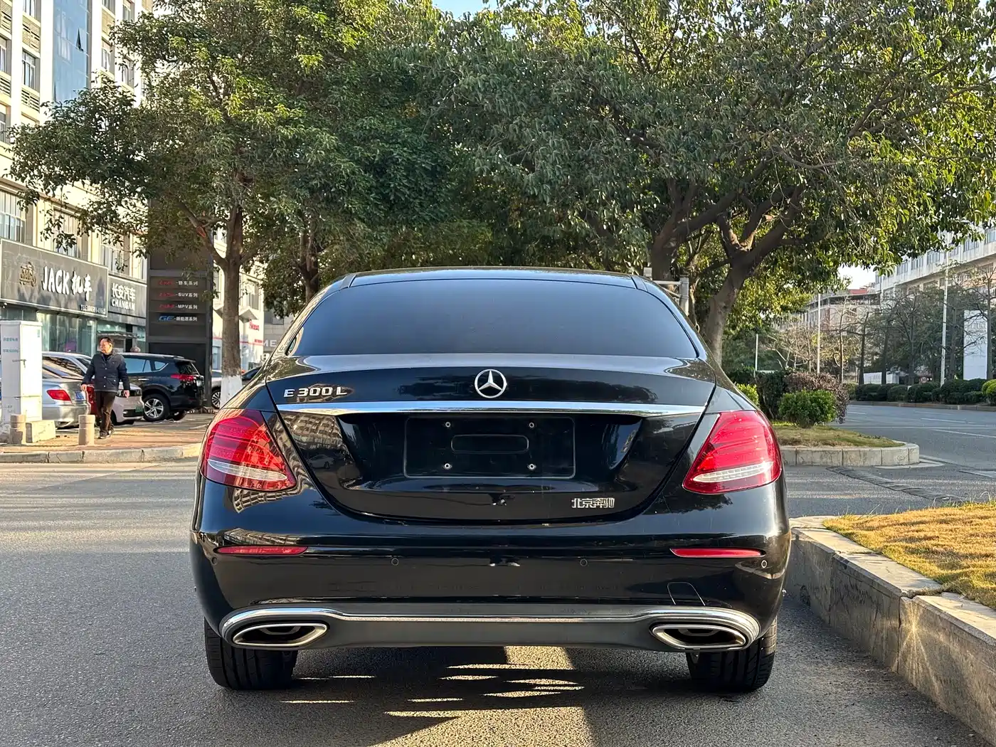 Mercedes-Benz E-Class 2018 E 300 L Luxury фото 9