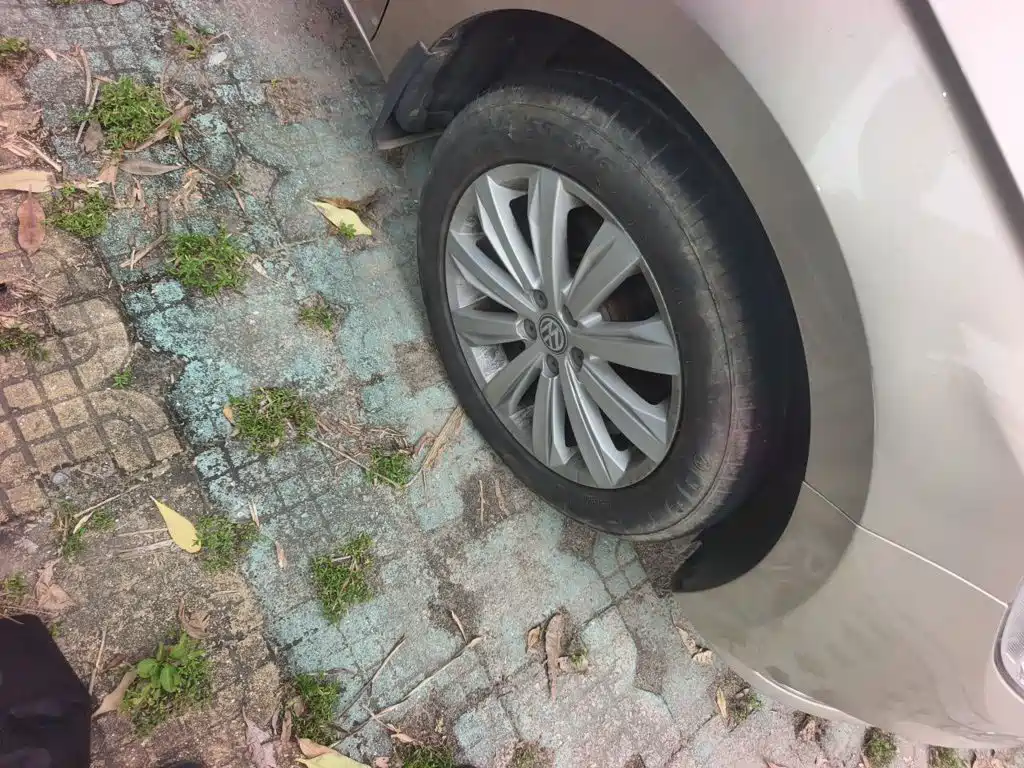 Фото 26 - Volkswagen Bora
