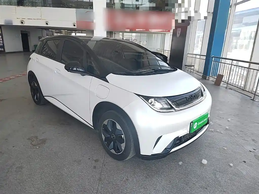 BYD Dolphin 2024 Glory Edition 420km Fashion Edition фото 22