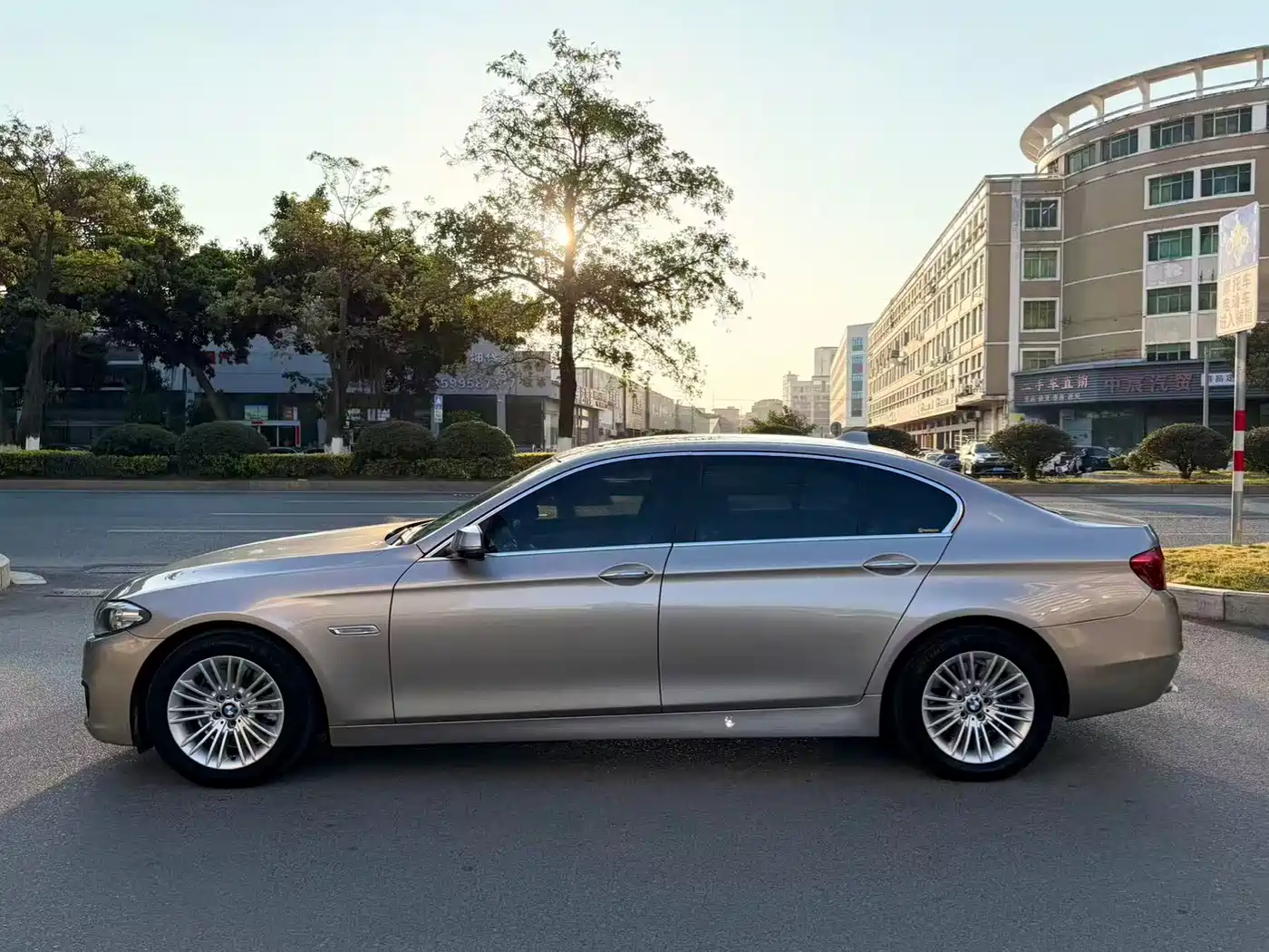BMW 5 Series 2014 525Li Leading фото 3