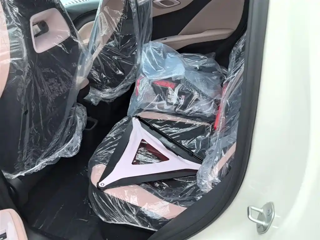 BYD Seagull 2025 Smart Drive Edition 305km Vitality Version фото 17