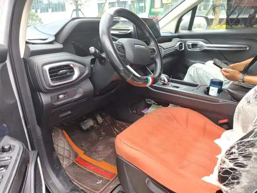 Geely Radar Radar King Kong 2025 2025 460km 4WD Long Cargo Power Guardian