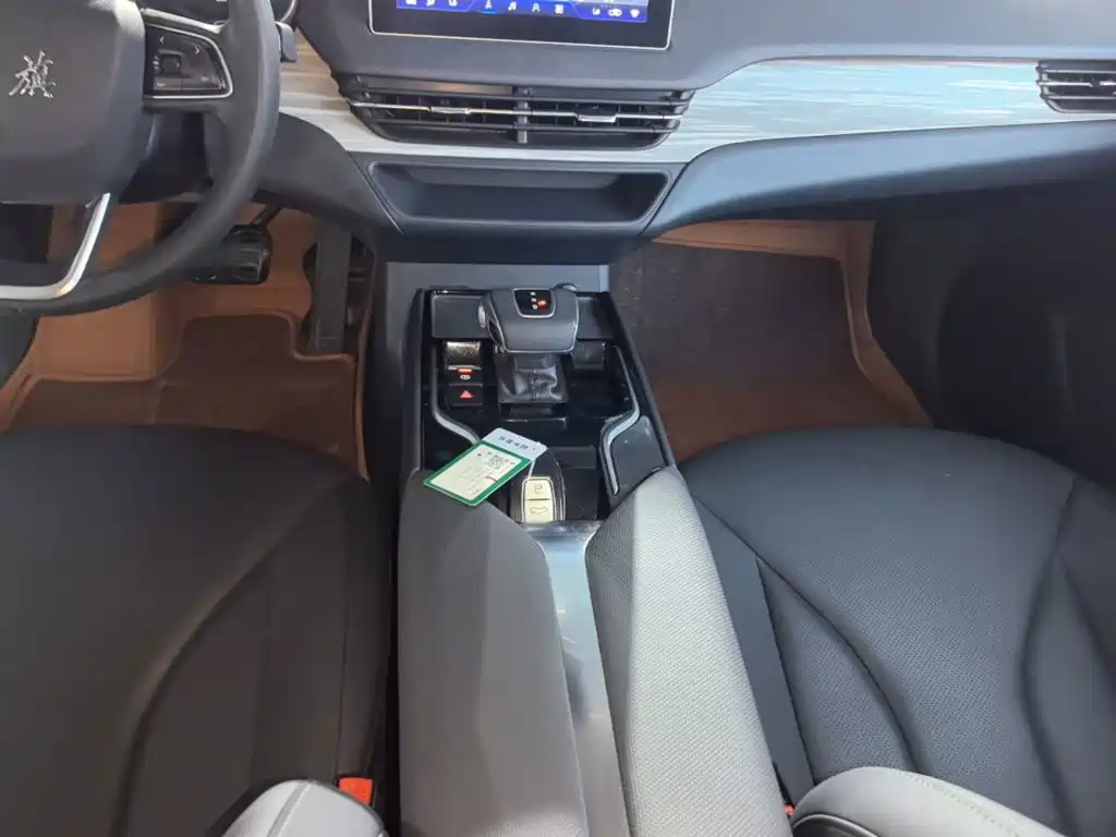 Hongqi E-QM5 2025 2024 Model 610km PLUS