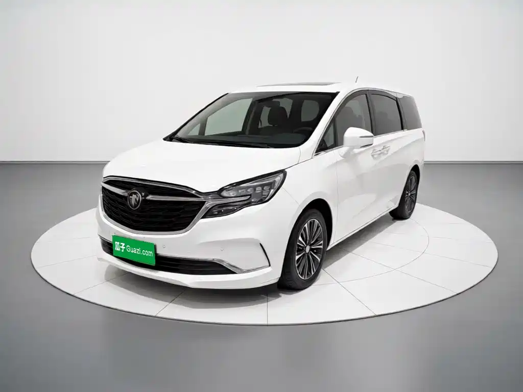 Фото 1 - Buick GL8