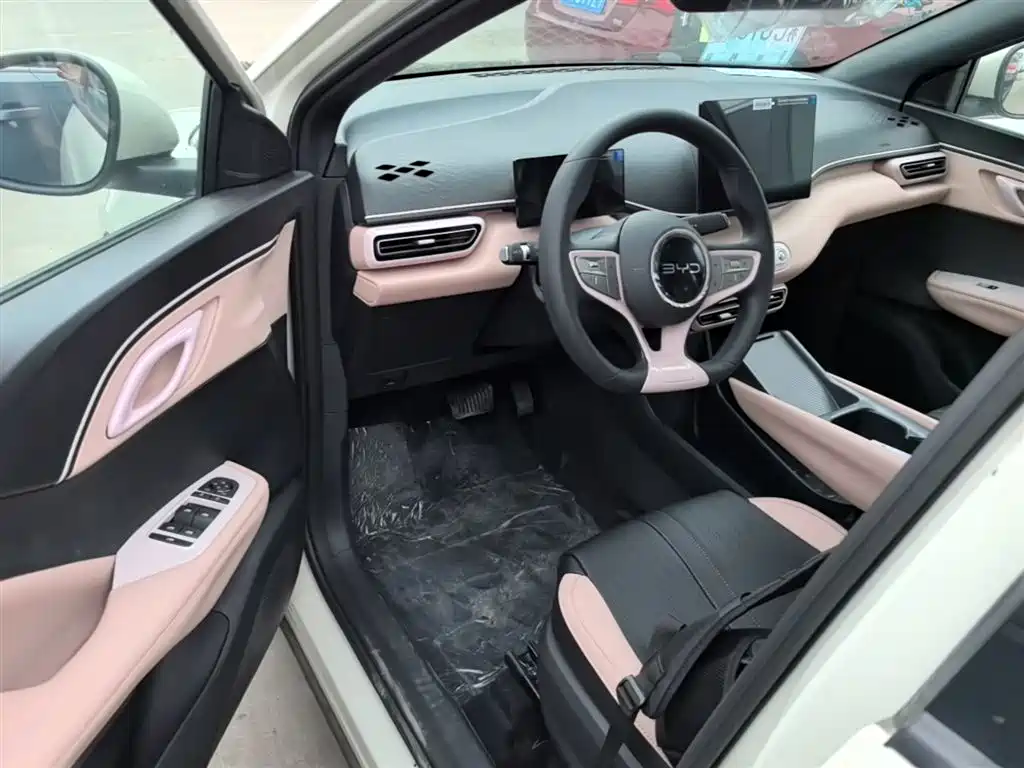 BYD Seagull 2025 Smart Drive Edition 305km Vitality Version фото 16