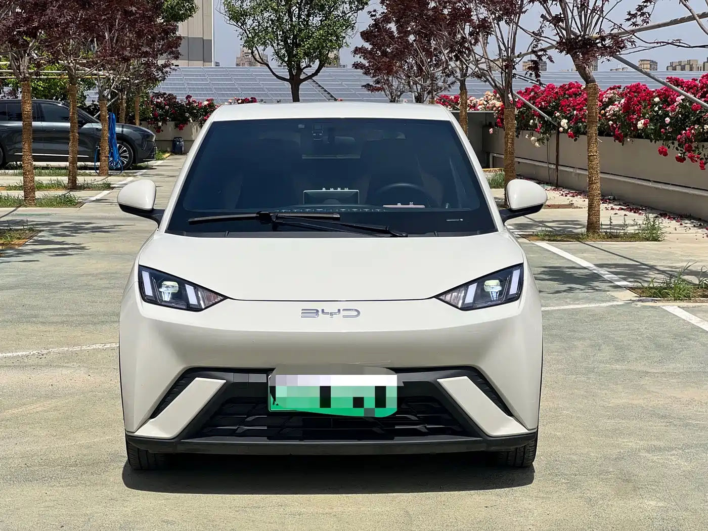 BYD Seagull 2024 Glory Edition 305km Freedom Edition фото 2