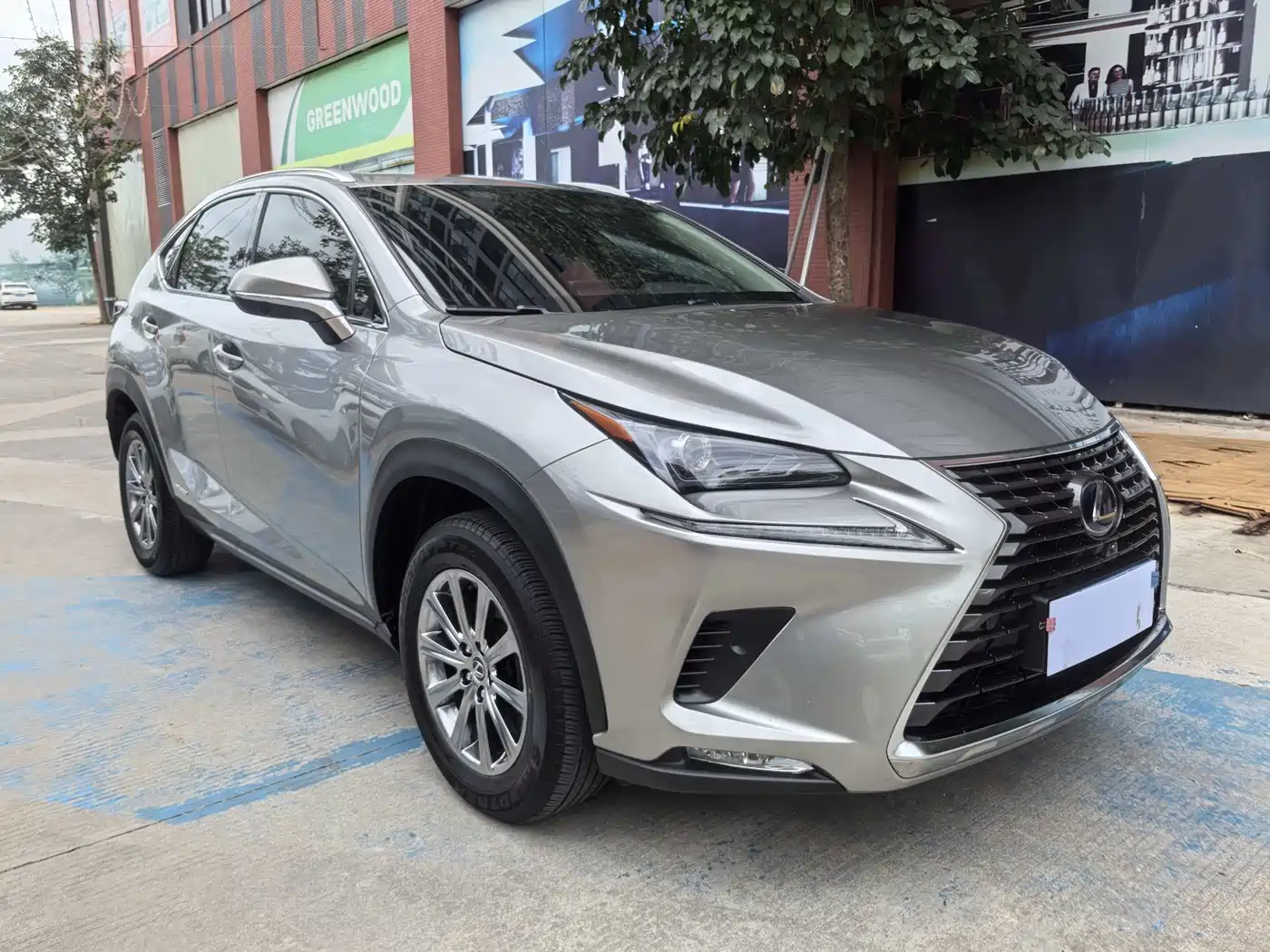 Lexus NX 2020 300h FWD F Sport China V фото 3