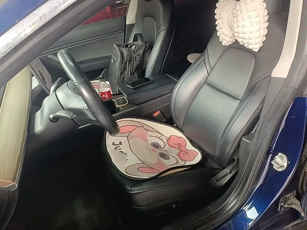 Tesla Model 3 (Import) 2019 2019 Long Range RWD Version