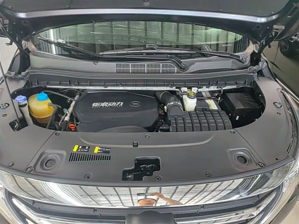 GAC Trumpchi Trumpchi M8 2023 Leading Series 390T Prestige Edition фото 20