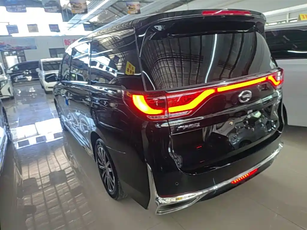 GAC Trumpchi Trumpchi M8 2023 Leading Series 390T Prestige Edition фото 5