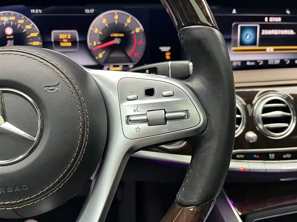 Mercedes-Benz S-Class 2020 S 350 L Premium Edition Collector's Version фото 23