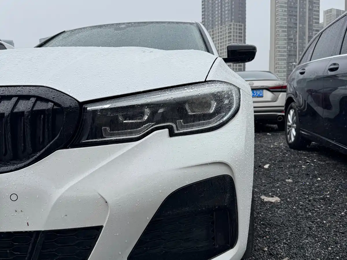 BMW 3 Series 2020 325Li M Sport Black Night Package фото 12