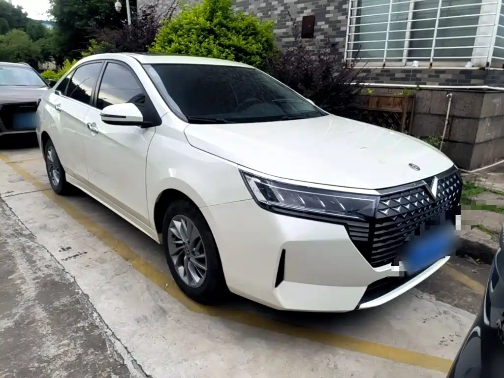 2023 Venucia D60