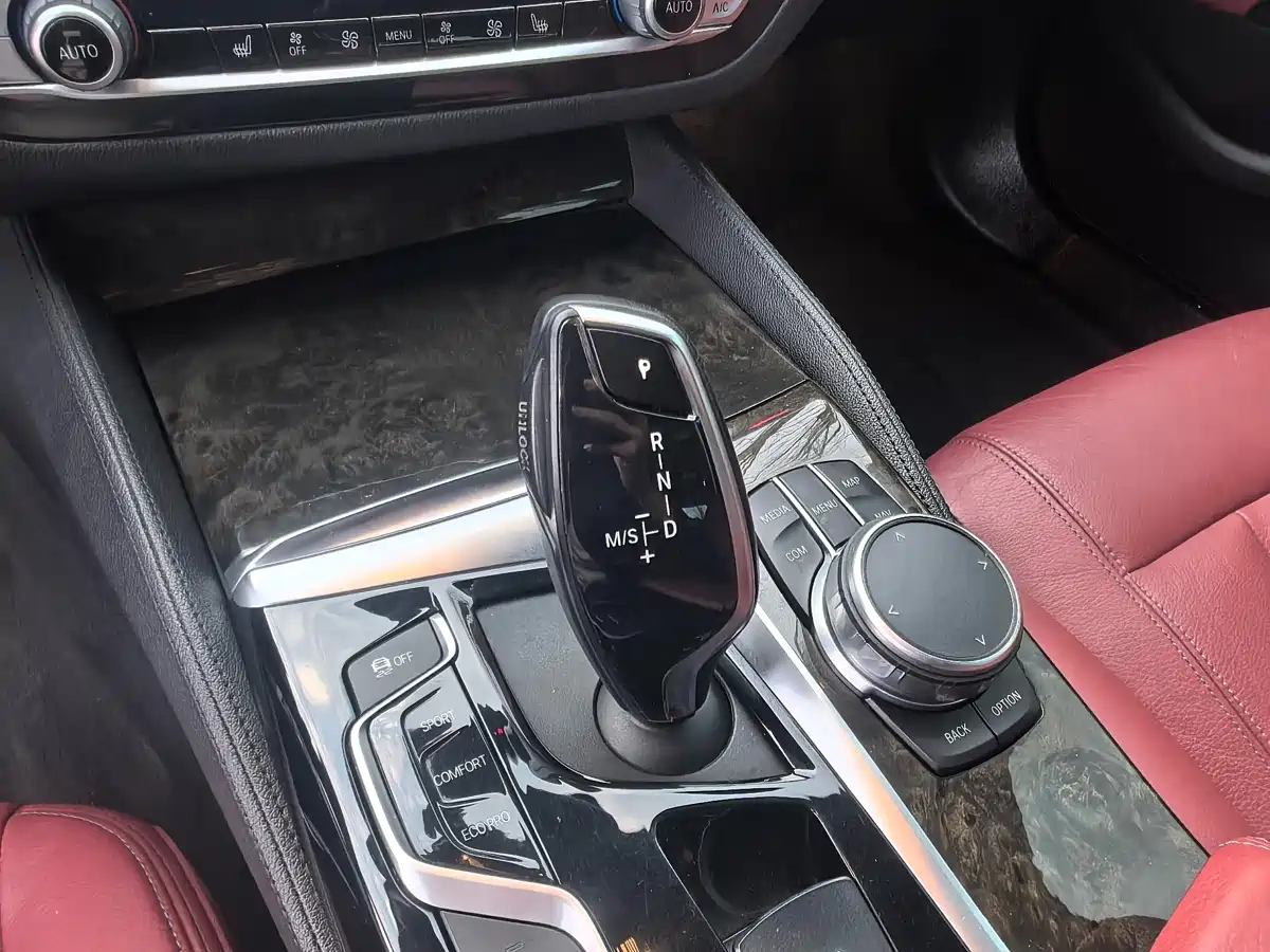 BMW 5 Series 2020 530Li Leading M Sport Package фото 9