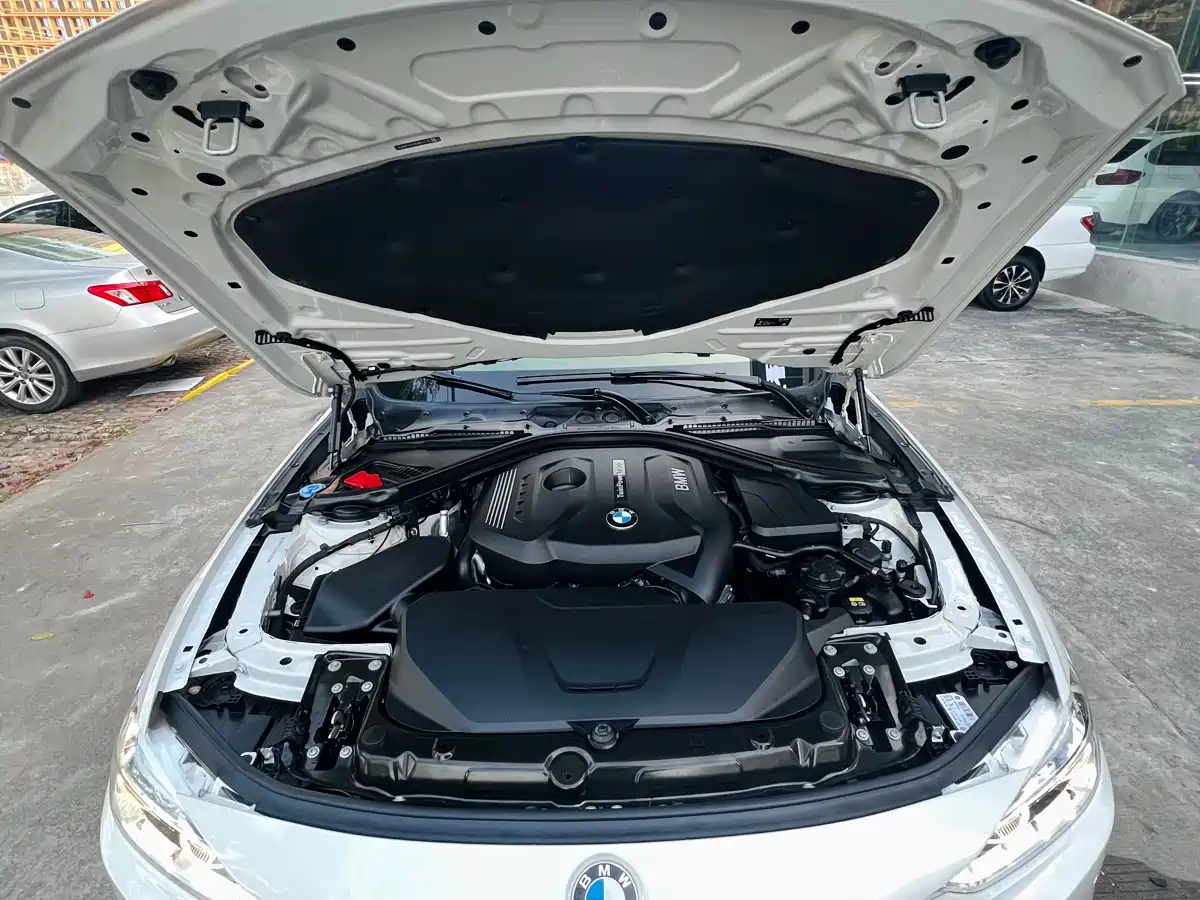 BMW 3 Series 2019 320Li M Sport Package фото 11