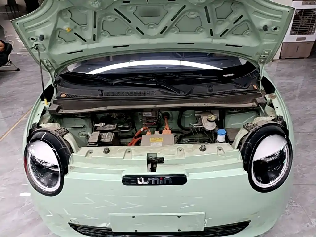 Photo 20 - Changan Lumin