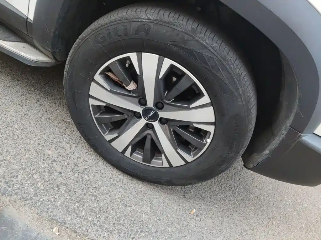 Haval Dargo 2021 2021 1.5T DCT 2WD Labrador Edition