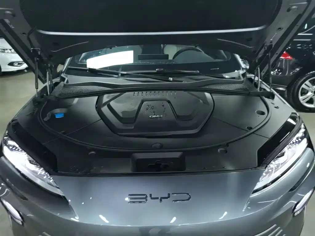 BYD Song PLUS PHEV 2023 Champion Edition DM-i 110KM Flagship фото 20