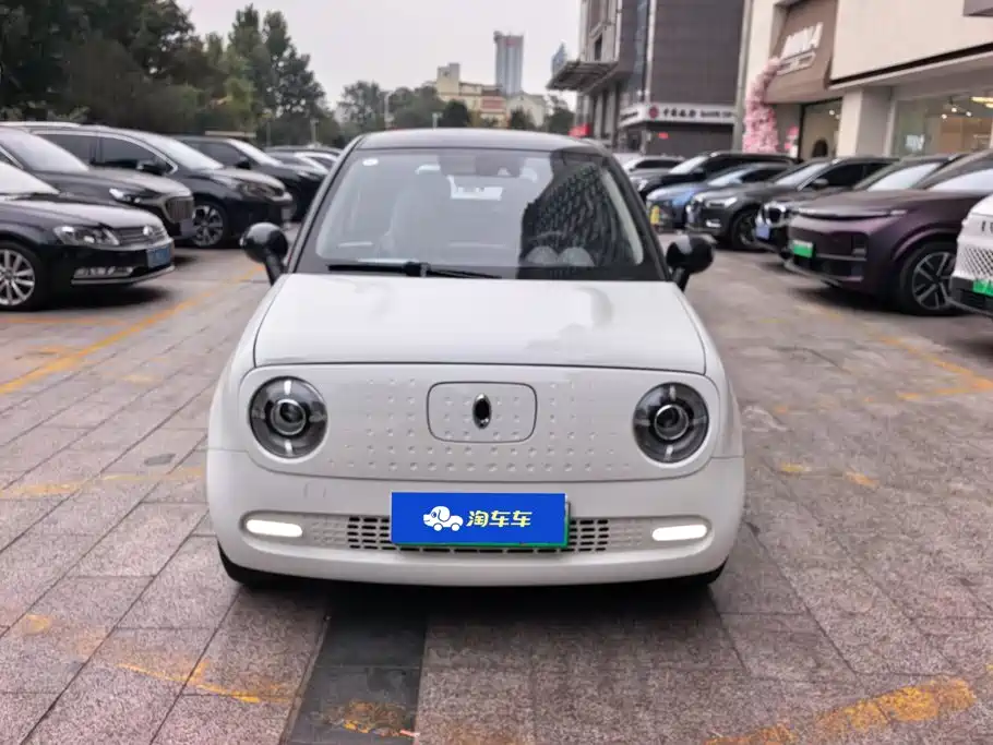 Ora Black Cat 2020 2021 351km Luxury Model