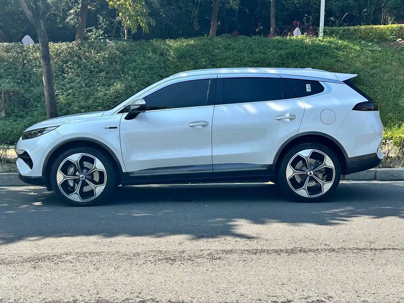 Denza X 2021 2020 Model PHEV Flagship Edition