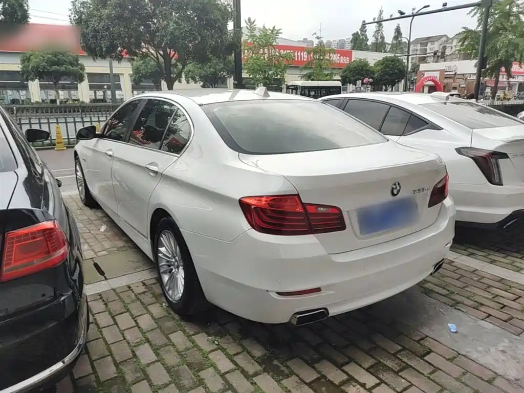 BMW 5 Series 2014 525Li Leading фото 5