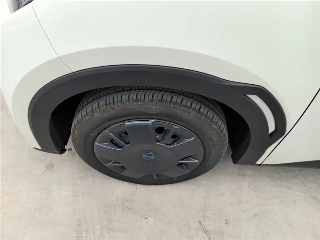 BYD Seagull 2025 Smart Drive Edition 305km Vitality Version фото 23