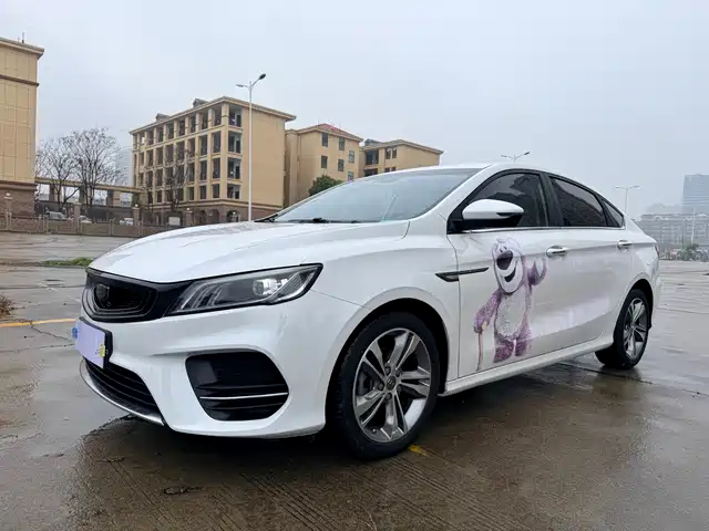 GEELY AUTOMOBILE BINRUI