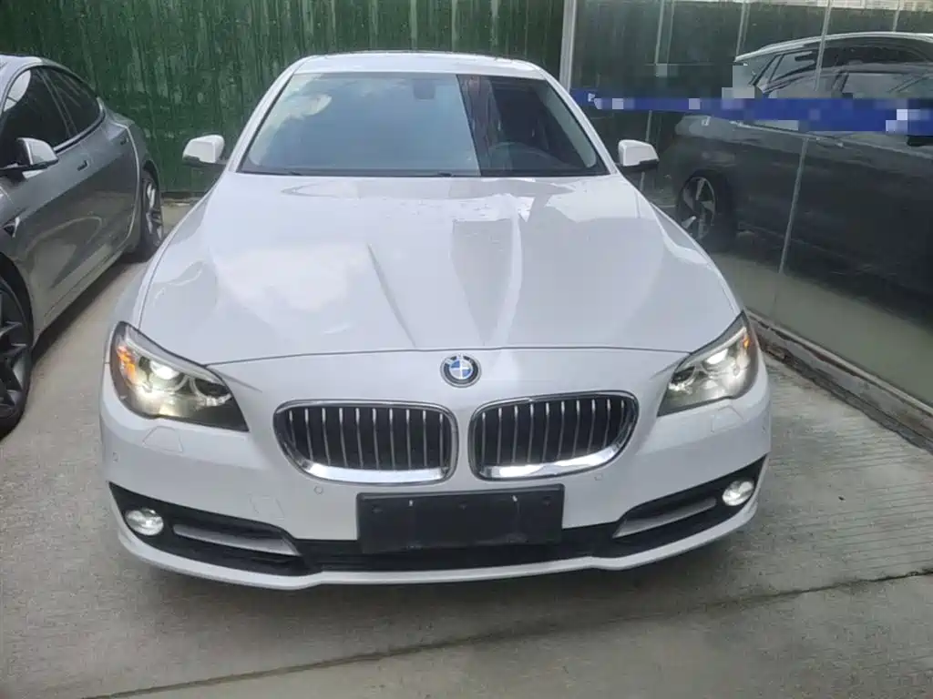 BMW 5 Series (Import) 2015 520i Elegance фото 3