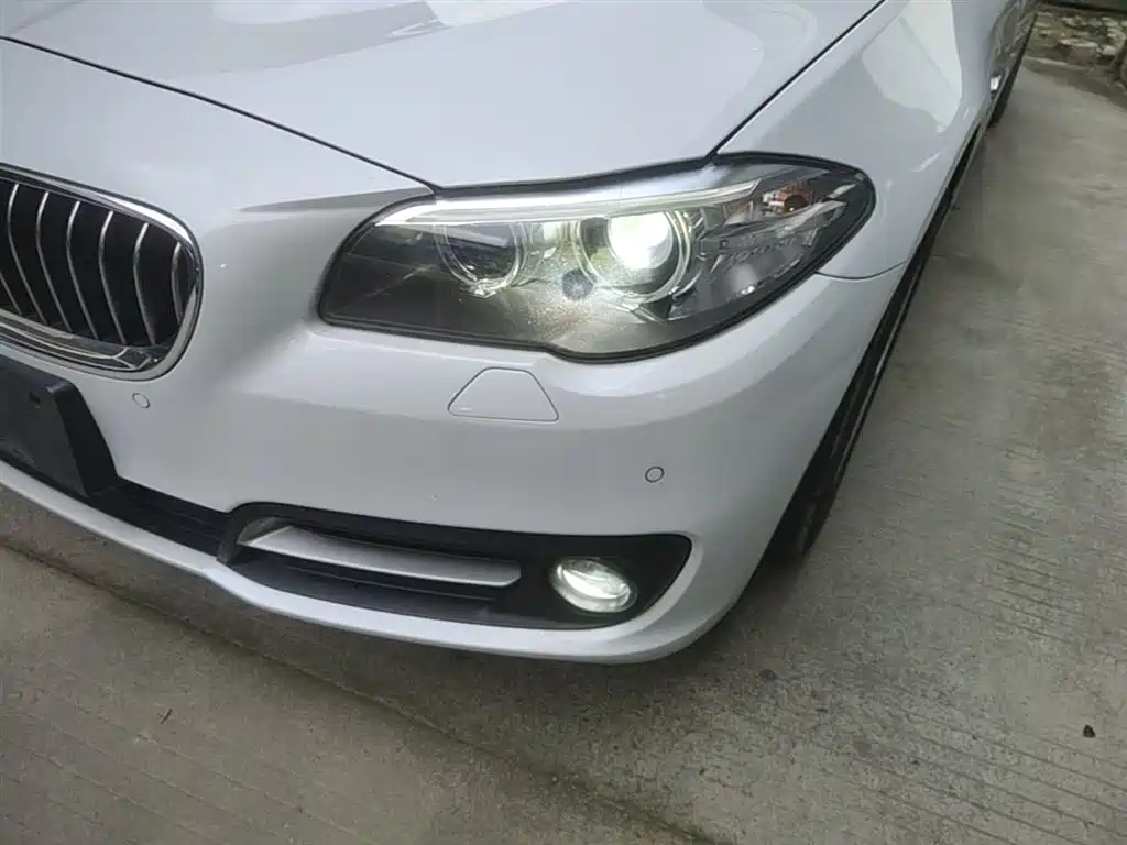 BMW 5 Series (Import) 2015 520i Elegance фото 24