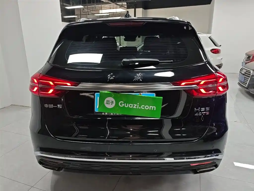 Hongqi HS5 2019 2.0T Smart Connect Enjoy Edition фото 6
