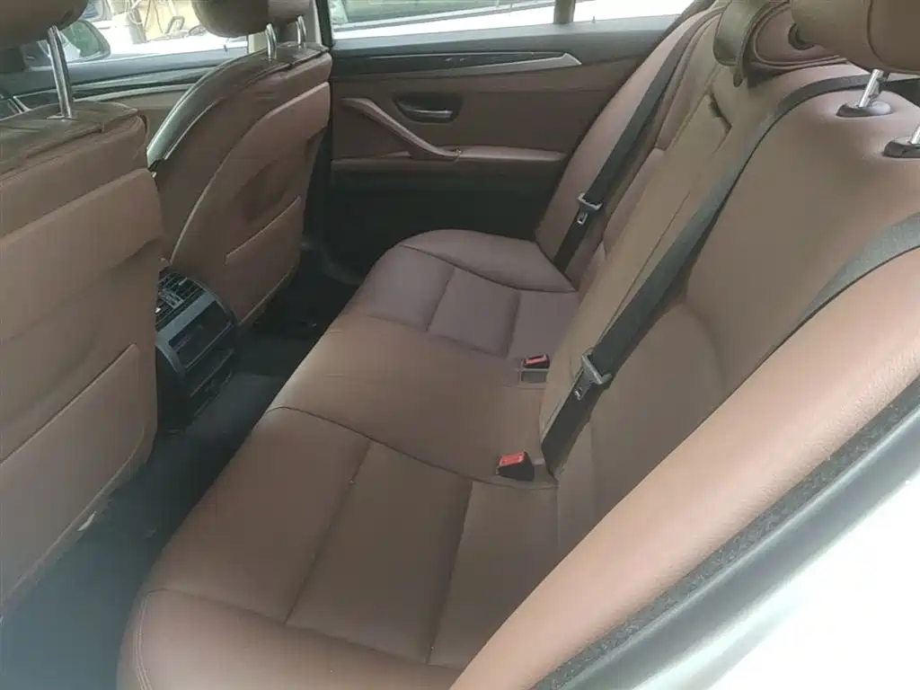 BMW 5 Series (Import) 2015 520i Elegance фото 17