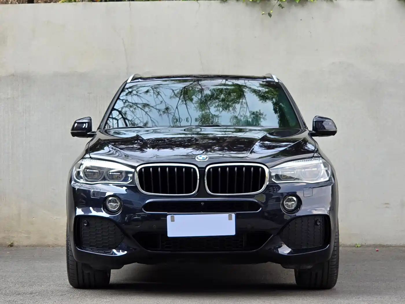 BMW X5 (Import) 2017 xDrive35i M Luxury Sport фото 2