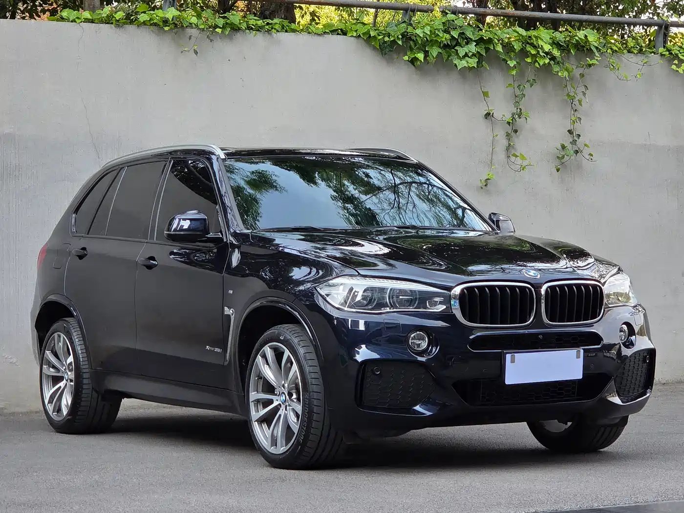 BMW X5 (Import) 2017 xDrive35i M Luxury Sport фото 3