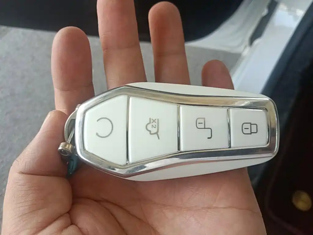 BYD Destroyer 05 2025 2024 Glory Edition DM-i 55KM Luxury
