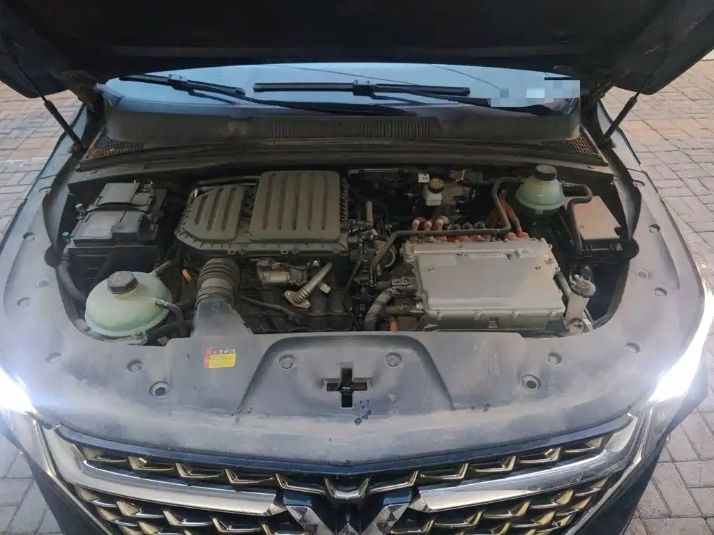 Wuling Motors Wuling Victory 2024 2023 2.0L DHT Luxury Edition