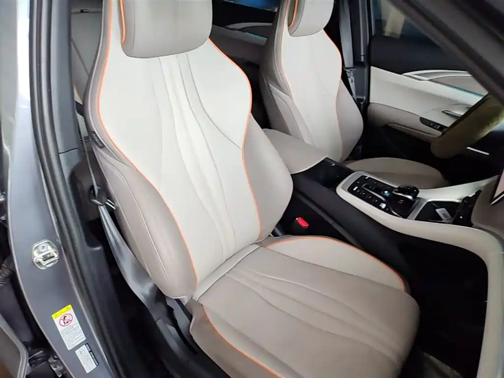 BYD Song Pro New Energy 2023 Champion Edition DM-i 110KM Excellence фото 25