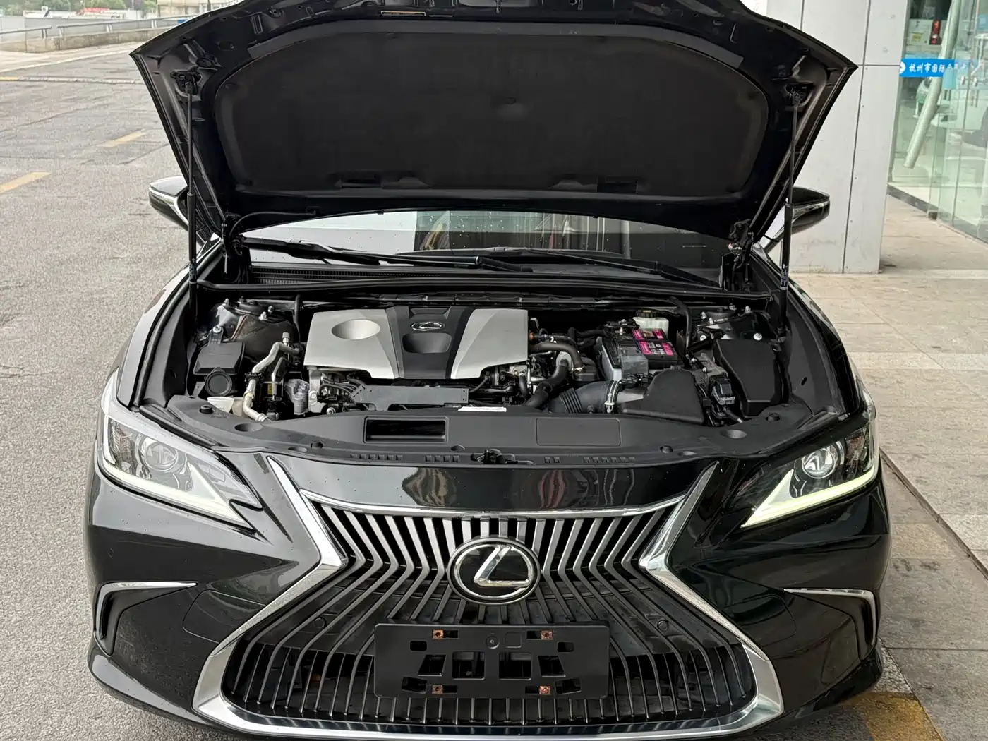 Lexus ES 2018 260 Excellence Edition China V фото 15