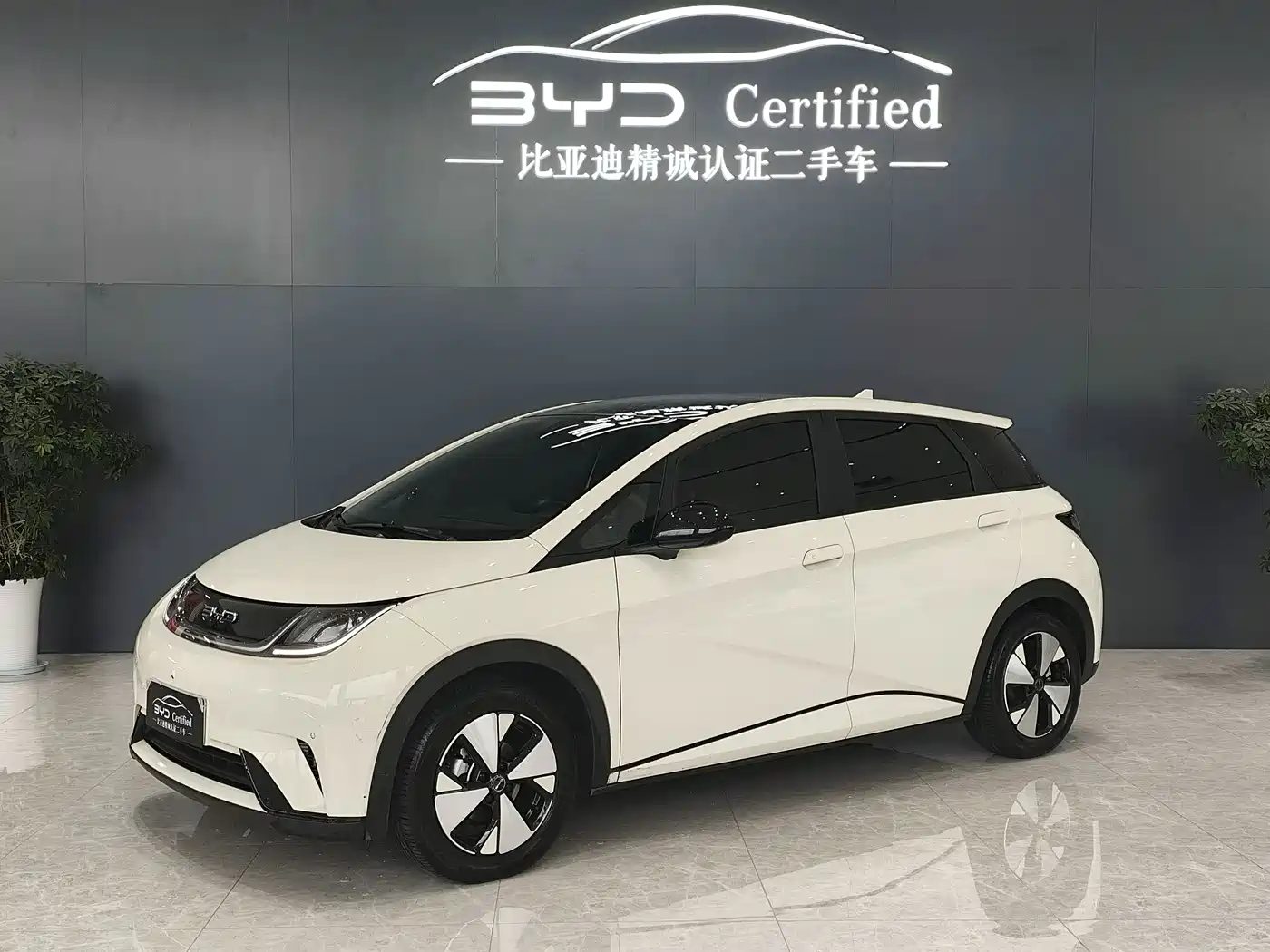 byd dolphin