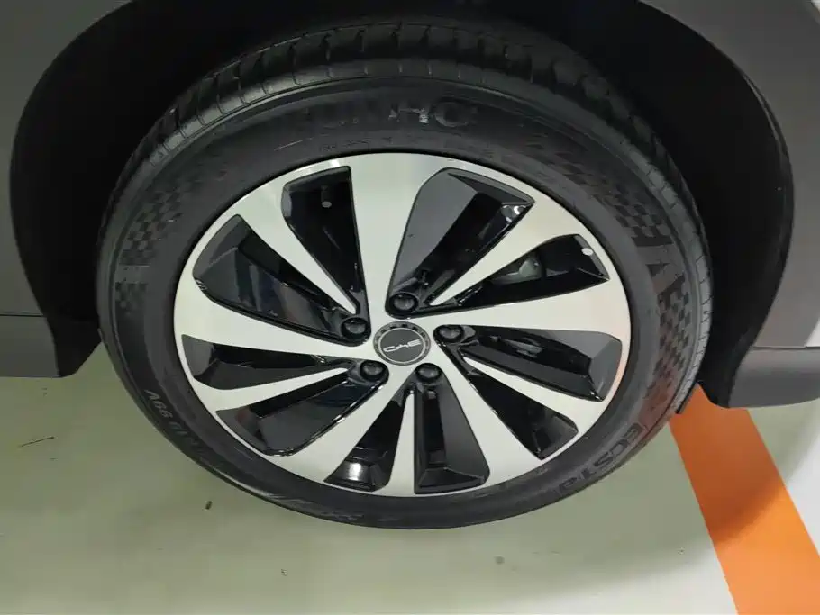 BYD Song PLUS PHEV 2023 Champion Edition DM-i 110KM Flagship фото 6