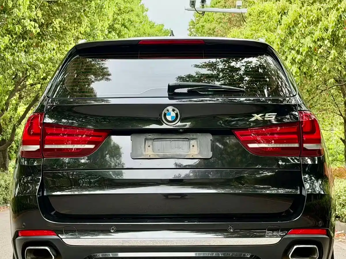 BMW X5 (Import) 2018 xDrive35i Elegant Model фото 9