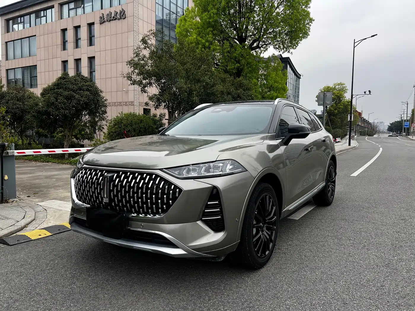 WEI PAI WEI BRAND MOCHA