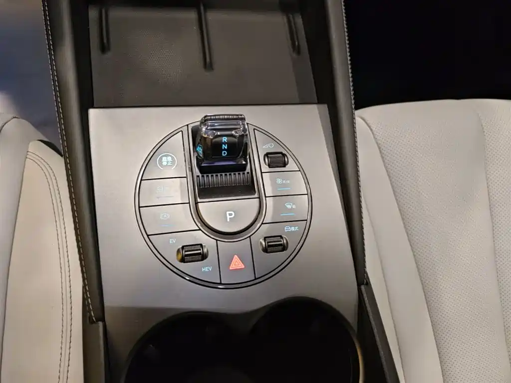 BYD Seal 06 New Energy 2024 DM-i 80KM Prestige фото 14