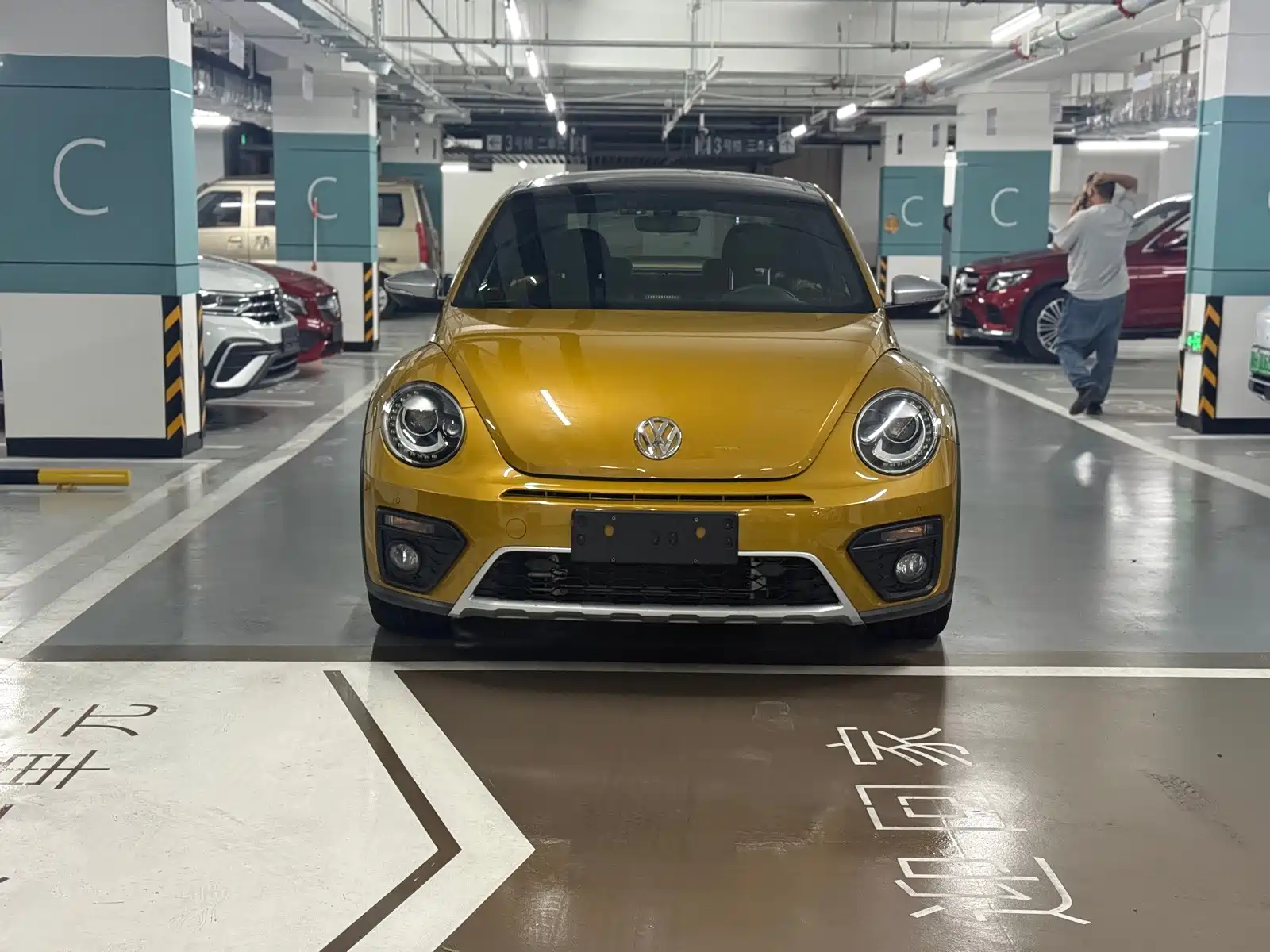 Фото 1 - Volkswagen Beetle